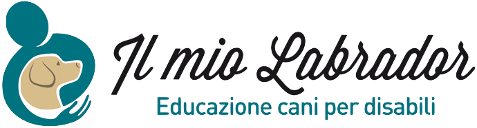 Il Mio Labrador